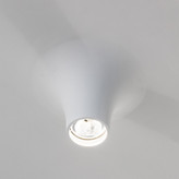 فرم گچی شیپوری